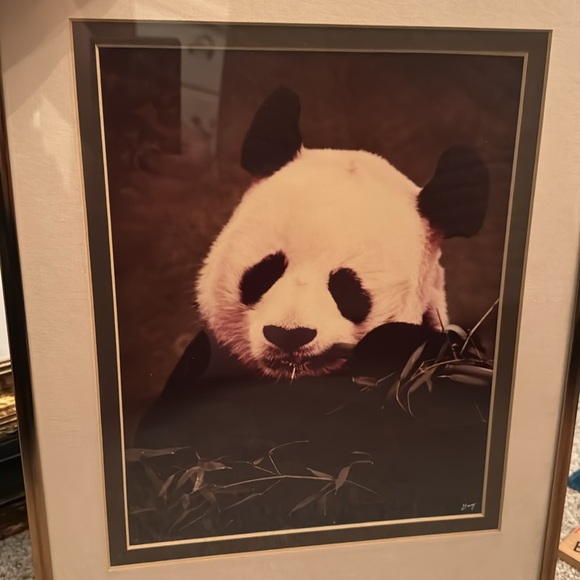 Black & White Framed Panda Print - Picture 8 of 8